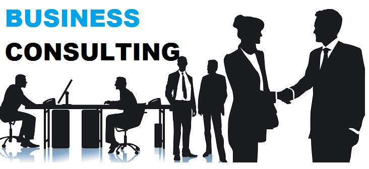 business consulting florida